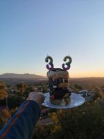 Klik za večjo sliko